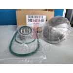 AYIDO CHECK VALVE KIT 3001531115