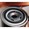 AYIDO OIL FILTER 04.01.08021
